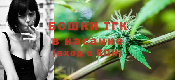 твердый Новодвинск