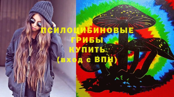 твердый Новодвинск