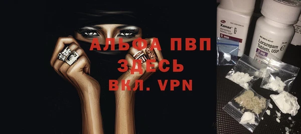 твердый Новодвинск