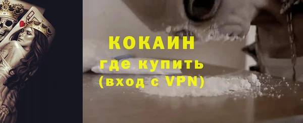 твердый Новодвинск