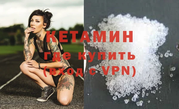 твердый Новодвинск