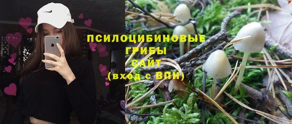 индика Бабаево