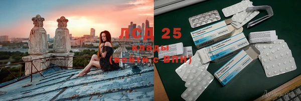 твердый Новодвинск