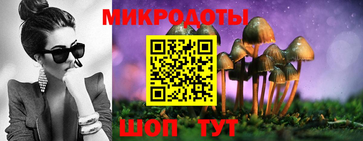 дарнет шоп  Вход с VPN  Улан-Удэ  Псилоцибиновые грибы мухоморы 